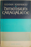 Dimensiuni caragialiene &ndash; Silvian Iosifescu