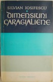 Dimensiuni caragialiene - Silvian Iosifescu - Studii literare