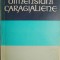 Dimensiuni caragialiene &ndash; Silvian Iosifescu