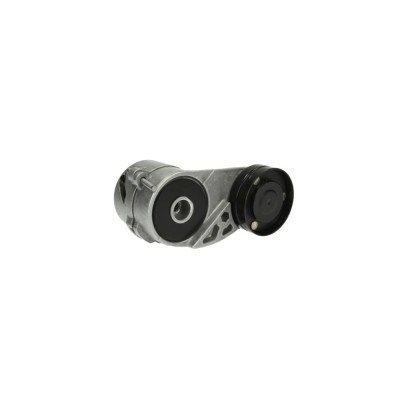 Intinzator curea AUDI A6 Avant 4B5 C5 DAYCO APV2302 foto