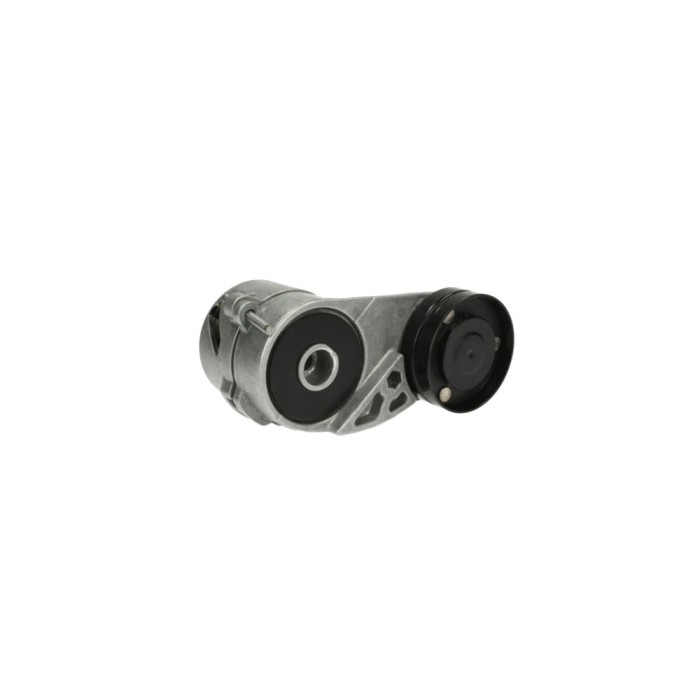 Intinzator curea AUDI A6 4A C4 DAYCO APV2302