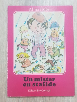 Un mister cu stafide - Alina Nour foto