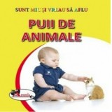 Sunt mic si vreau sa aflu - Puii de animale