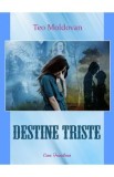 Destine triste - Teo Moldovan
