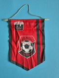 Fanion Fotbal Utilajul Fagaras / CD1P