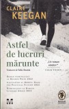 Claire Keegan - Astfel de lucruri marunte