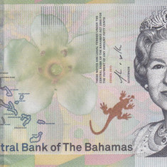 Bancnota Bahamas 1/2 Dollar 2019 - PNew UNC