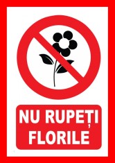 Placuta nu rupeti florile foto