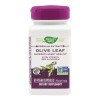 Olive Leaf 20% SE Nature&#039;s Way Secom 60cps