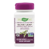 Olive Leaf 20% SE Nature&#039;s Way Secom 60cps