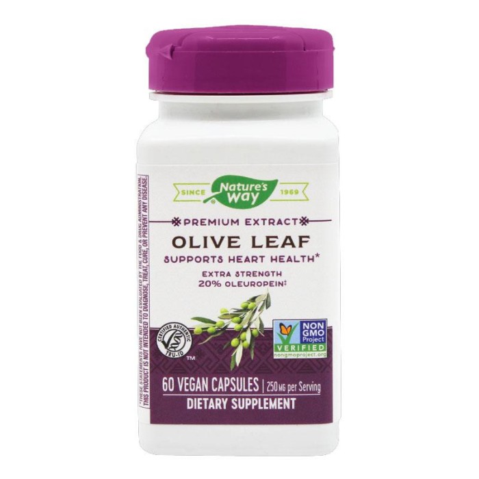 Olive Leaf 20% SE Nature&#039;s Way Secom 60cps