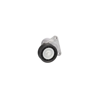 Rola Intinzator curea FORD S-MAX WA6 BTA E2G0018BTA foto