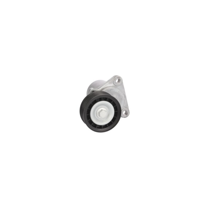 Rola Intinzator curea FORD S-MAX WA6 BTA E2G0018BTA