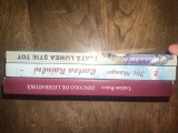 LOT 3 CARTI EDITURA HASEFER : CARTEA RAIULUI + TOATA LUMEA STIE TOT + DINCOLO DE LITERATURA