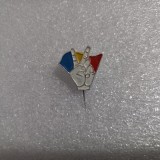 Insigna Victorie fSN