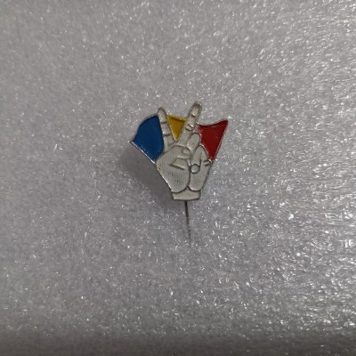 Insigna Victorie fSN foto