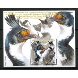 TERITORIILE FRANCEZE DIN ANTARCTICA TAAF 2020 PASARI CORMORANI