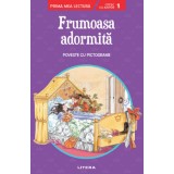 Frumoasa adormita. Poveste cu pictograme. Citesc cu ajutor (Nivelul 1)
