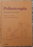 Psihoterapia: sprijinul psihologic eficient - Miguel A. Vallejo, Laura Vallejo-Slocker