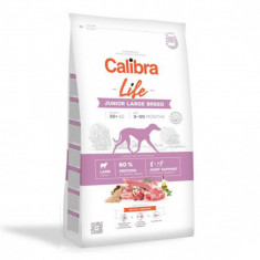 Calibra Dog Life Junior Large Breed Lamb 12 kg
