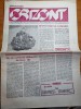 Ziarul Orizont 5 Iulie 1979 - Rezistența Antifascistă Banat - Ziar de Colecție