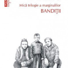 Banditii. Mica trilogie a marginalilor - Vasile Ernu