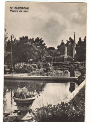 CPIB 18016 CARTE POSTALA - SFANTUL GHEORGHE - VEDERE DIN PARC, RPR foto