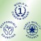 icon 7
