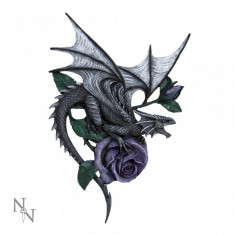 Placheta decorativa pentru perete Dragon Beauty foto