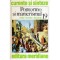 Victor Ieronim Stoichita - Pontormo si manierismul - 119100