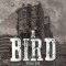 A Bird from the Battlefront