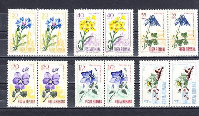 M1 TX4 7 - 1967 - Flora carpatina - perechi de cate doua timbre foto