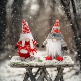 Cumpara ieftin Elf scandinav de Craciun - 8 x 14 x 20 cm - 2 tipuri Best CarHome