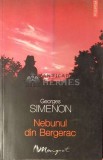 Nebunul din Bergerac - Georges Simenon ($D75)