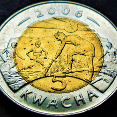 Moneda exotica bimetal 5 KWACHA - Republica MALAWI, anul 2006 * cod 2877 = A.UNC