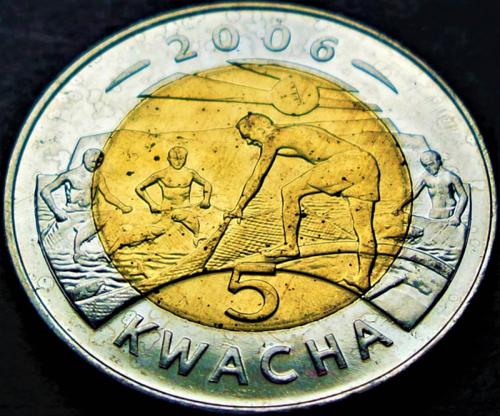 Moneda exotica bimetal 5 KWACHA - Republica MALAWI, anul 2006 * cod 2877 = A.UNC