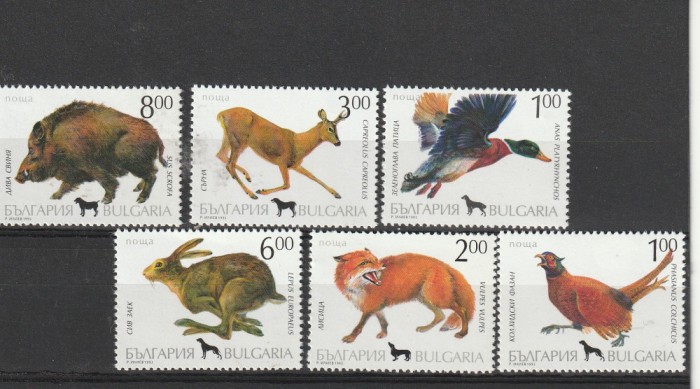 Fauna,vanatoare ,caini si vanat,Bulgaria.