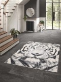 Covor Belgian, Cancun 18598, Gri, Diverse Dimensiuni - 160x230 cm
