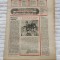 SC&Acirc;NTEIA TINERETULUI - supliment literar-artistic (24 iunie 1989) Nr. 25