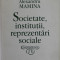 SOCIETATE , INSTITUTII , REPREZENTARI SOCIALE de ALEXANDRU MAMINA , 1998 , DEDICATIE *