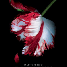 Amurg #2. Lună nouă - Stephenie Meyer