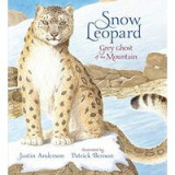 Snow Leopard: Grey Ghost of the Mountain