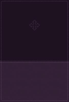 Amplified Study Bible, Imitation Leather, Purple, Indexed foto