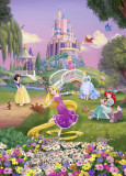 Fototapet 4-4026 Apus cu Printesele Disney