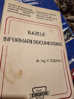 BAZELE INFORMARII DOCUMENTARE - V. TEODORU foto