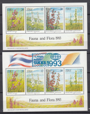 Irlanda 1993 - FLORA + EXPO.BANGKOK - MNH foto