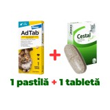 Deparazitare interna si externa pisici, Cestal cat 1comprimat + AdTab 1comprimat