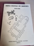Biserica Medievala din Caransebes - Petru Bona