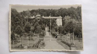 SOVATA STAMPILA POSTA MOBILA PRAID- TARGU MURES 346 foto