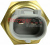 Senzor,temperatura aer admisie BMW Seria 3 Cupe (E46) (1999 - 2006) METZGER 0905443